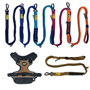 Leasher for Small Medium Large  4-6FT Shock Absorbing No Pulling with 2 Metal Clips Comfortable Padded Handles & Reflective Strips Adjustable Fruit-shaped Cat Cone Collar Adjustable Comfortable Pet Recovery Collar reflective  leash front  hook