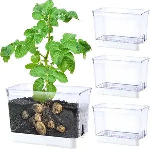 Self Watering Planters - 4 Pack Rectangular Clear  Pots with Drainage Holes for Indoor