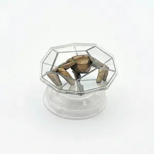 Amaze Amaze Amaze! Rocky Project Hail Mary Phone Grip, Cute Rocky Spider Alien MagSafe Holder, Sci-Fi Bookish Griptok, Gift for Andy Weir Fans