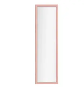 14.25 x 50.25 Pink Over the Door Mirror