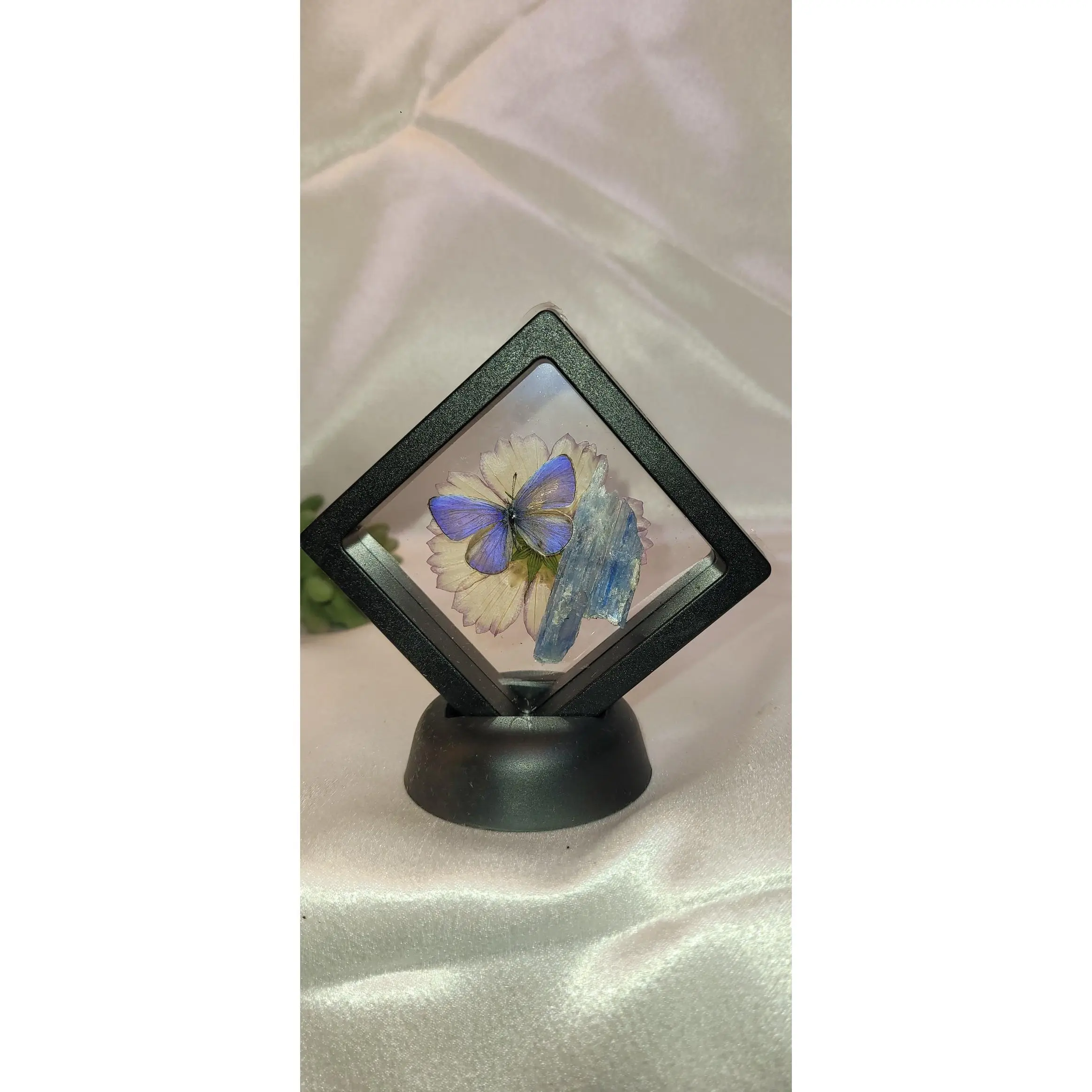 Butterfly & Blue Kyanite Curio Frame