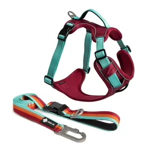DOG iD Essential No-Pull Harness Bundle - Premium Nylon Dog Walk Kit for Safety, Comfort, and Control - No-Pull, Escape-Proof, Reflective Design, All Day Comfort, Easy to Clean - 4 Sizes