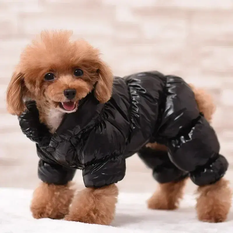 Waterproof Winter Puppy Jumpsuit Hoodie