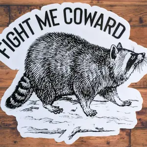 Raccoon Pattern Car Sticker, Funny Car Decal, Car Exterior Decoration Accessories for Car Body Window Bumper, Universal Car Accessories, Sticker For Cars