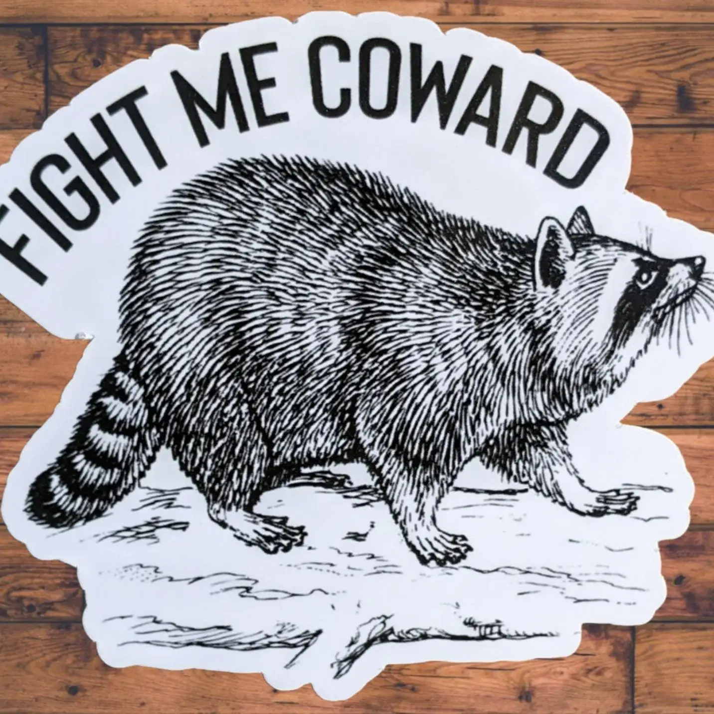 Raccoon Pattern Car Sticker, Funny Car Decal, Car Exterior Decoration Accessories for Car Body Window Bumper, Universal Car Accessories