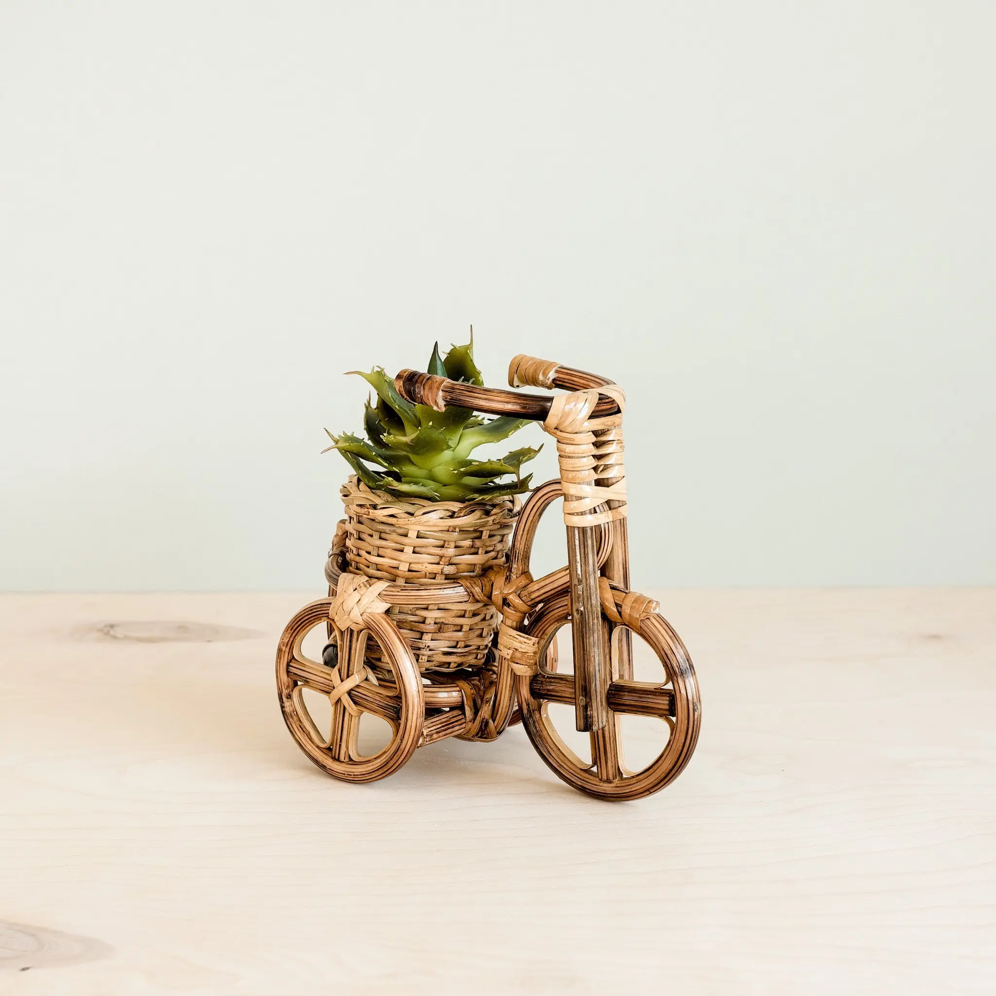 Rattan Bicycle Planters - Handmade Bike Planter Baskets | LIKHÂ
