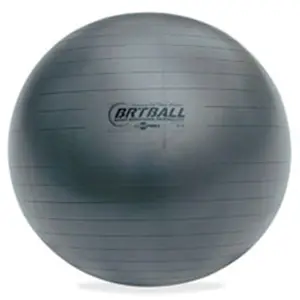 Champion Sports  Gray Training-Exercise Ball- 25.59 in.