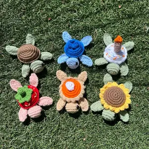 Crochet 6 Different Turtles Strawberry Blueberry Sunflower Regular Pumpkin Pie and Birthday Cake Handmade Toys