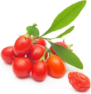 Tibetan Goji Berry 100 Seeds (Lycium chinense) Heirloom - Non GMO - Open Pollinated