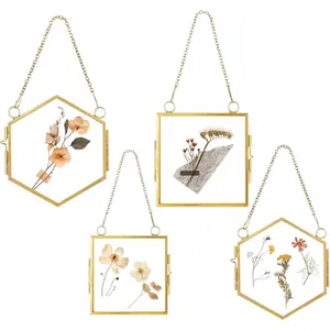 Glass Frame for Pressed Flowers, 4 Pcs Vintage Mini Brass Multi-Shape Double Glass Floating Frames with Metal Chain – Pressed Flower Hanging Display for Home Wall Decor, DIY Artwork & Gifts