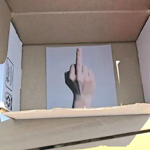 Prank Mail Middle Finger Anonymously Sent to Your Friend, Family, Coworkers, Ex, Funny White Elephant Gag Gift