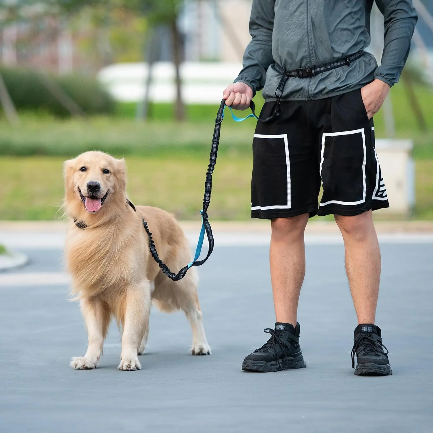 Zipper Pouch Equipped Hands Free Dog Waist Leash, Bungee Anti-Pull Shock Absorbing Running Leash, Dual Padded Handles for Small Medium Large Breed Dogs Jogging Hiking