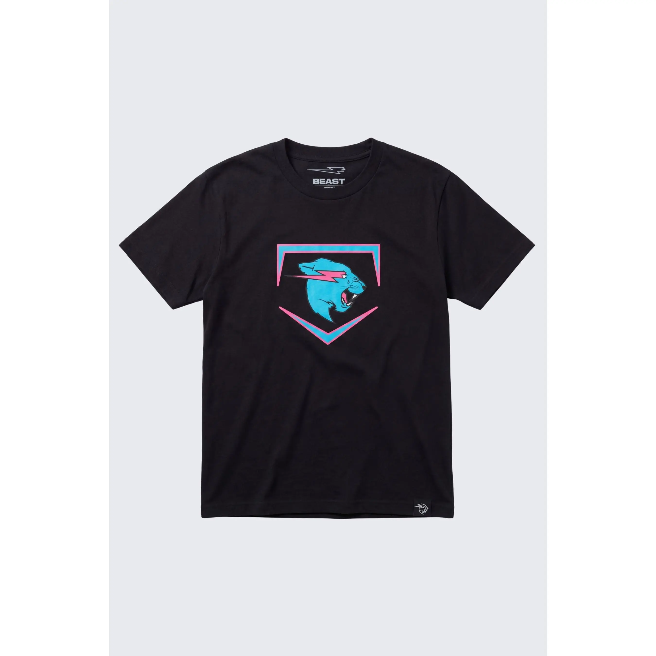 Beast Edition Plate Tee + 2 Pack Baseballs Bundle - White