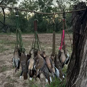 Dove Lanyard