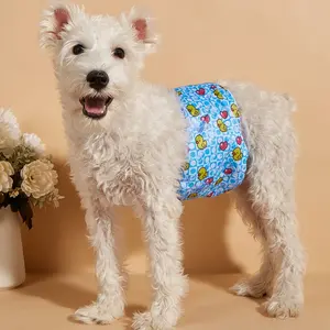 1pc (Yellow Duck Boy Dog Diaper) Dog Physiological Pants, Pet Menstruation Pants, Washable Dog Diaper, Breathable Pet Underwear with Various Patterns, Various Sizes