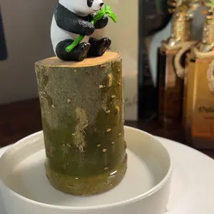 Brazilian Willow Wood Plant - Mini Brazil Lucky Wood Kit - Tray, Lucky Tree, Panda - Swelling Stage - About to Sprout, Brazilian Tree Housewarming