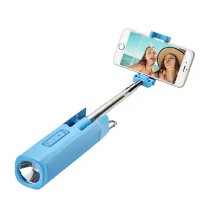 Selfie stick travel companion