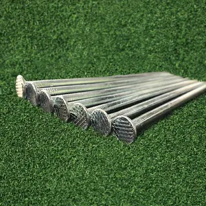 5" Galvanized Turf Nail (55 lbs/box)