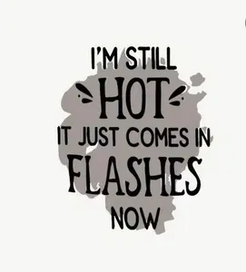 I Still Have Hot Flashes DTF Transfer