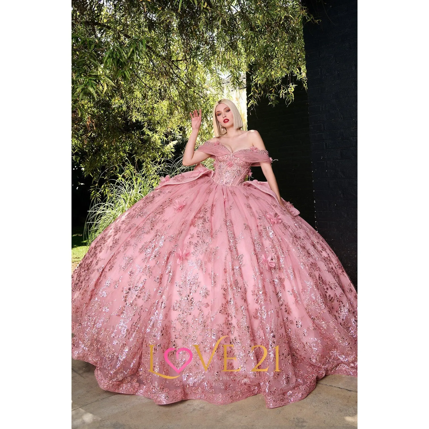 Love 21 LV548 Quince Dress Love 21 LV548 Quince Dress