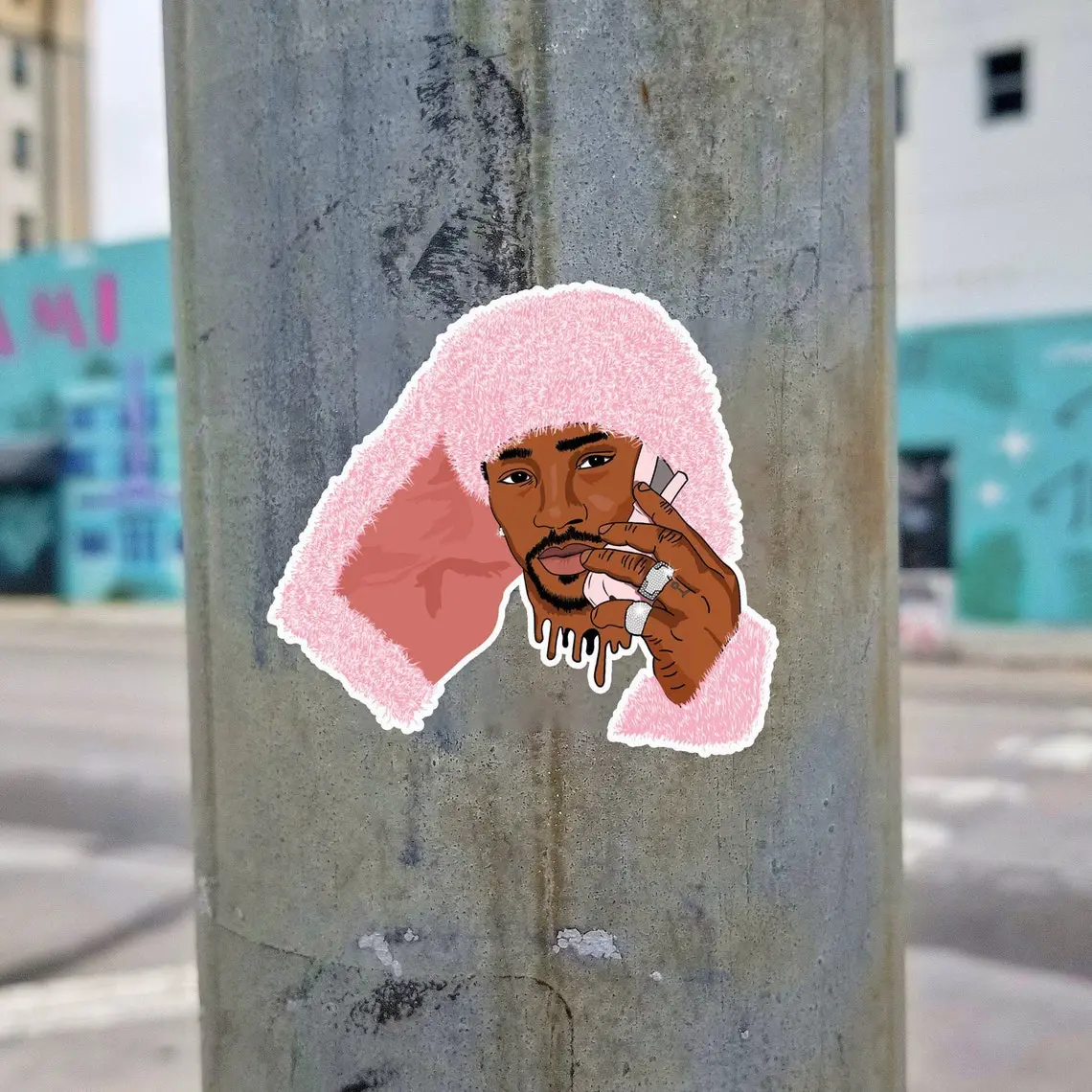 CAM'RON DRIP - Rapper Vinyl Sticker - Musical Sticker Aesthetic - Laptop