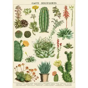 Cavallini Paper Co. Poster/Wrap Paper Cacti & Succulents