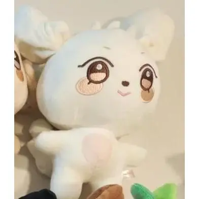25cm G