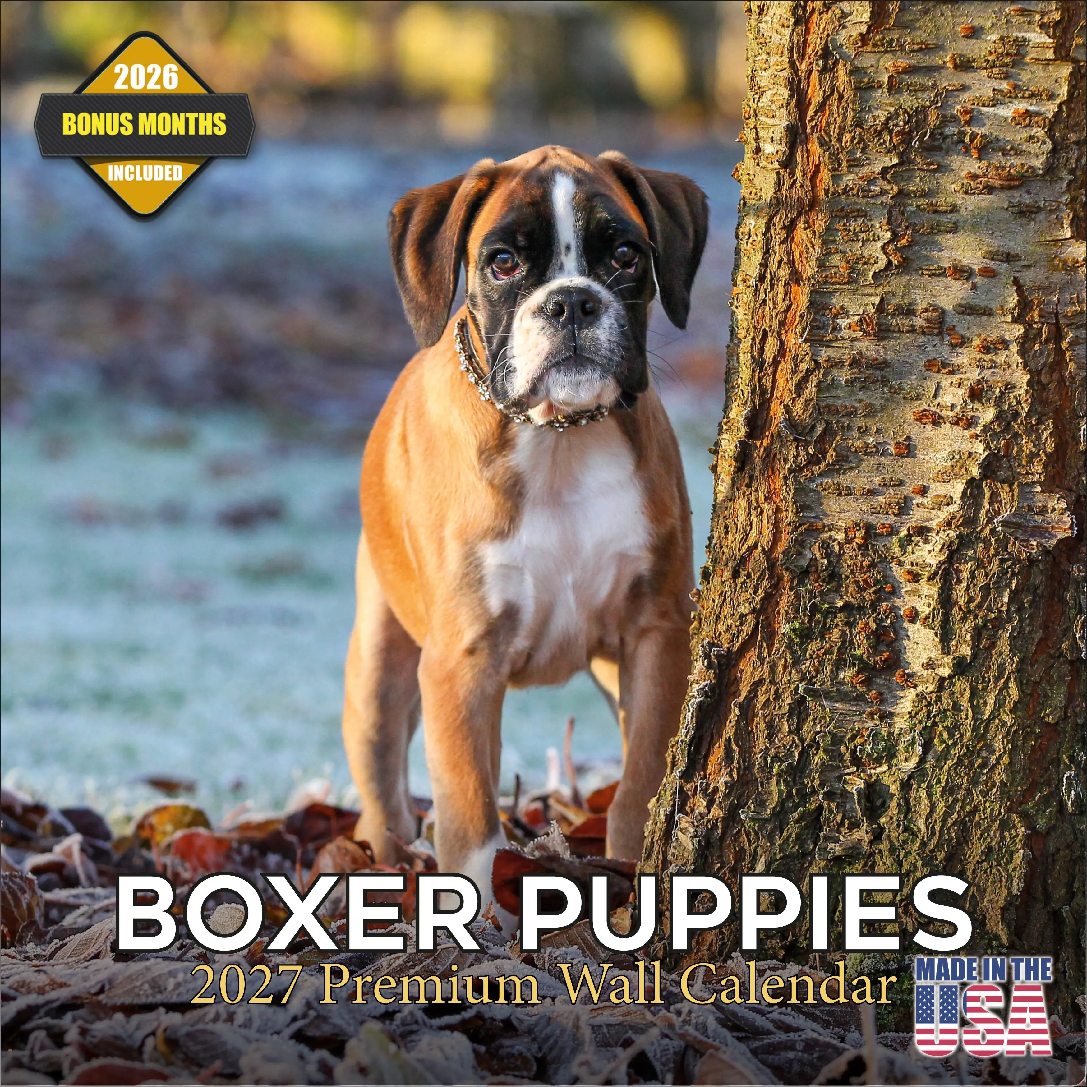 Boxer Puppies Wall Calendar 2027 - 12" x 12" Monthly Adorable Mischievous Boxer Puppy Calendar