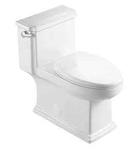 Clovis Goods Elongated, Floor Mounted One-Piece Toilet