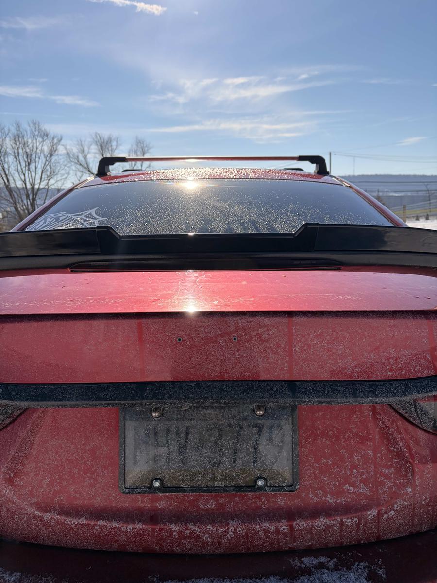 Item: Black, bright black