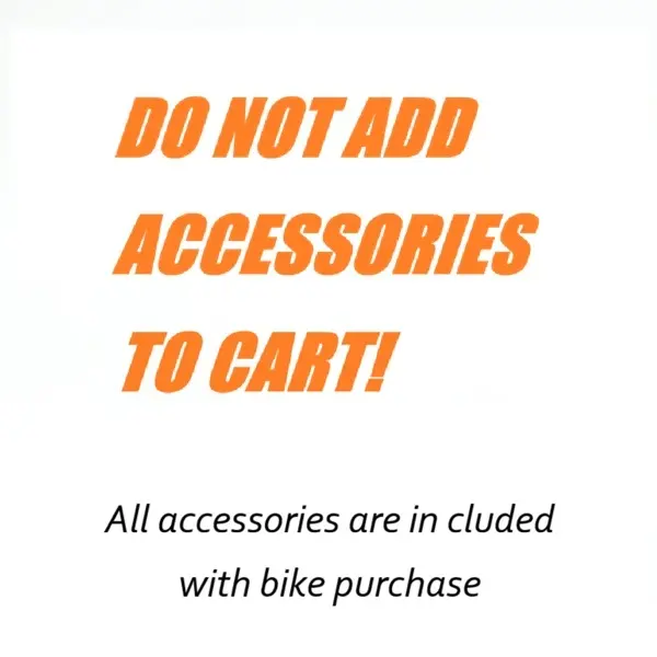 Accessory - L - Orange2