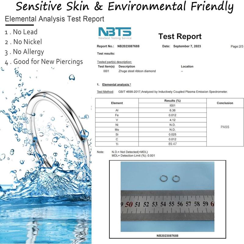 Cassieca G23 Titanium Nose Ring Hoops 20G 18G 16G 14G Septum Hinged Nose Rings Click Ring for Lip Helix Tragus Daith Rook Cartilage Lobe Earrings Conch Piercing Jewelry Hypoallergenic Nose Rings