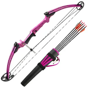 Genesis Original Archery Compound Bow and Arrow Set, Draw Hand-Right, Purple