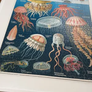 Product Review of Playboda 1000-1500 Pieces Rotating Plastic Puzzle Board with Drawers and Cover, Portable Jigsaw Puzzle Table for Adults, Lazy Susan Spinning Puzzle Boards (Patent Design) puzzle board Durable from R**)