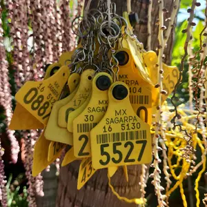 Cattle Tag Keychains | Llaveros de aretes de vaca