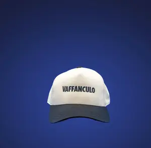 The Va Fa Snapback