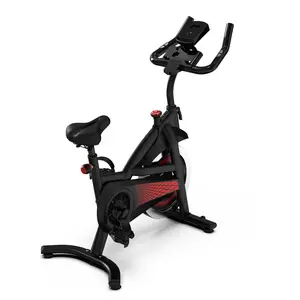 SAYGOGO Exercise Bike with Felt Brakes & Belt Transmission Stationary Bike for Home Use 300 lb Weight Capacity LED Display & Adjustable Seat Indoor Cycling Spin Bike Workout