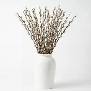 Thiccywoov 40 Stems 31.5'' Real Dried Pussy Willow Branches for Vases 100% Natural Tall Snow Pussy Willows with White Flowers Live Plant for Wedding Home Hotel Fireplace Yard Decor