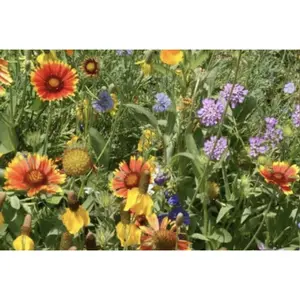 West Wildflower Mix Small Shaker Bottle