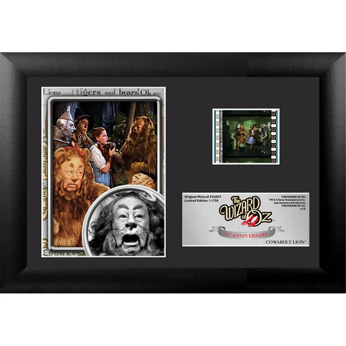212 MAIN Wizard of Oz 75th Anniversary Official Limited Edition Collectible Wooden MDF Photo Frame - 7x5 in Filmcell Presentation with Real Film Clip & Easel Back, Baby Room Decor, Unique and Varied Product for Celebrate, Display