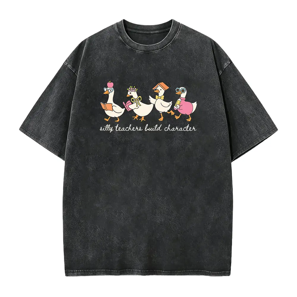 Silly Teacher Goose Shirt, Teacher Tshirt, Back to School Tee, Teacher Appreciation Gift, Funny Gift for Teacher