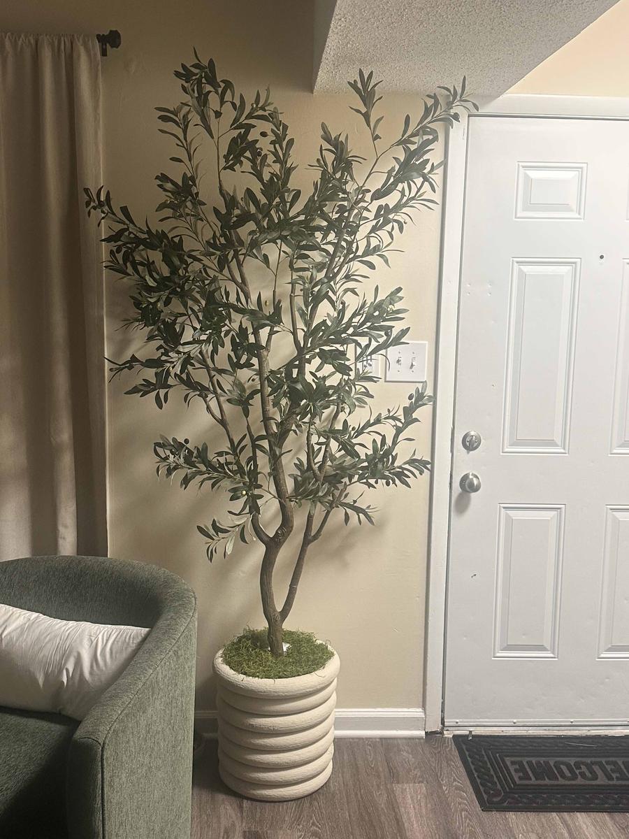 Item: 7FT 1296 leaves 54 fruits