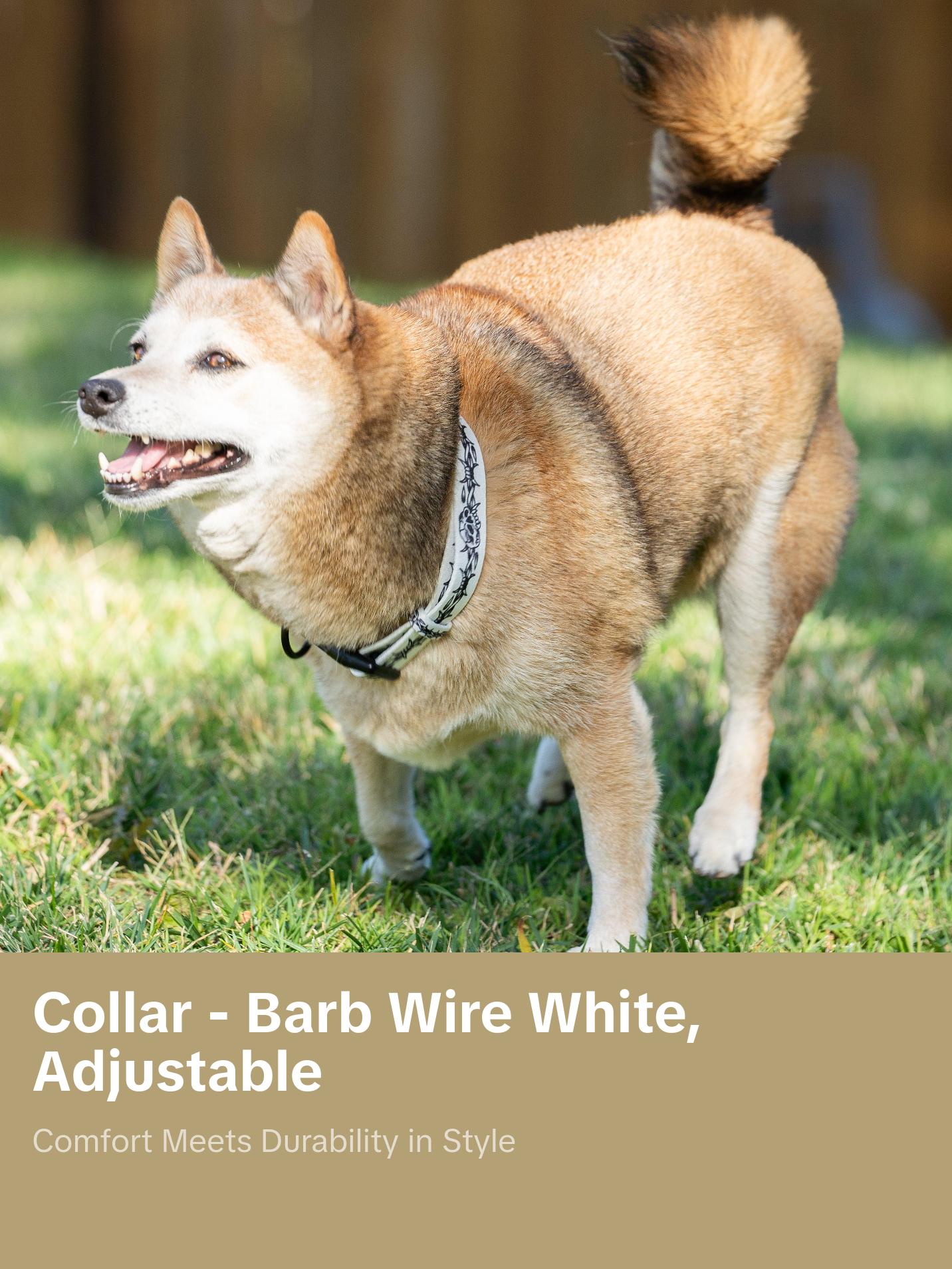 COLLAR - BARB WIRE WHITE