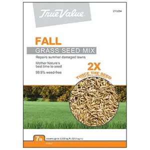 212 MAIN Barenbrug USA 213294 Fall Blend Grass Seed Mix - 7LB Lawn Repair Seed, Quick Growth, Coverage Area Enhancement