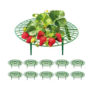 10 Pack Strawberry Supports, strawberry holder plants live for planting,Strawberry Growing Frame,Strawberry Trellis for Keeping Fruit Elevated to Avoid Ground Rot