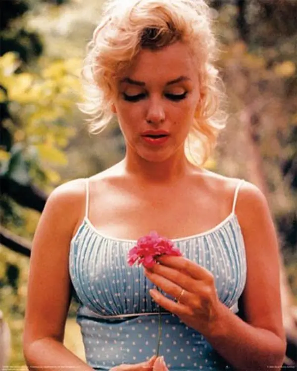 Shaw 8x10 in. Classic Artistic Marilyn Monroe Flower Motif Celebrity Print, Sam Shaw Art Home Wall Decoration for Fans, Collectible Home Decor Supplies (1994-08x10-CE)