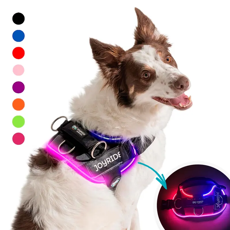 LED Light Up Dog Harness for Night Walks, USB Rechargeable Safety Harness, No Pull Reflective Pet Vest, Easy On & Off Design, Adjustable Fit, 13 Custom Name Tags Included, High Visibility for Small Medium Large Dogs | Joyride Dogs