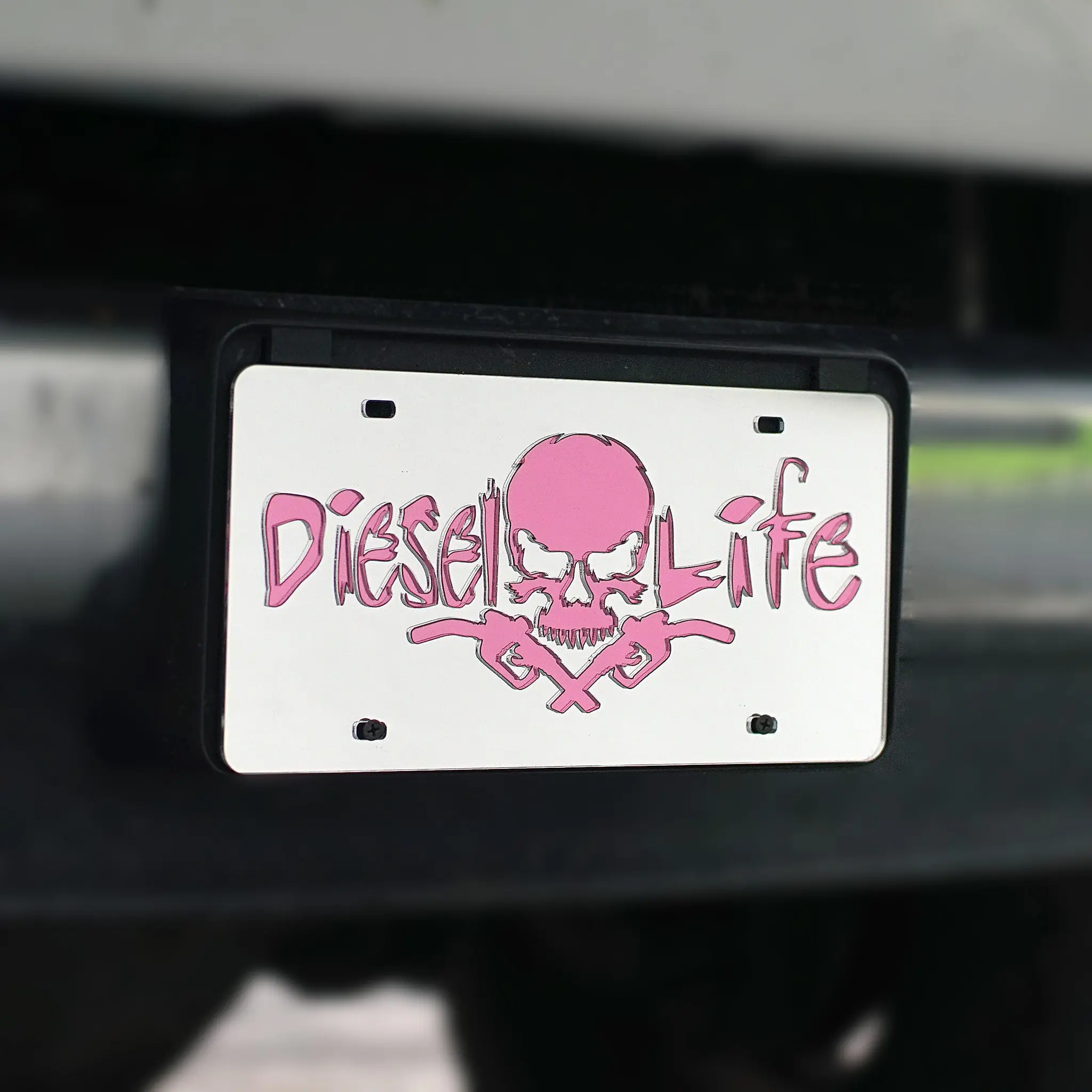 Skull & Pumps Acrylic Tag - Chrome W/ Pink Decor Signs