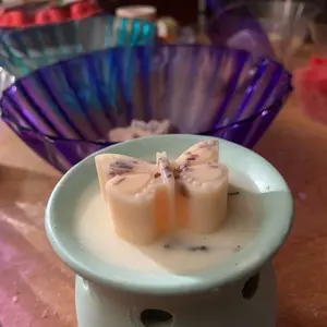 Butterfly Wax Melts