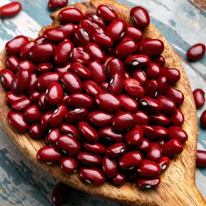 Dark Red Kidney Bean (Phaseolus vulgaris 'Dark Red Kidney') Organic Seeds – Classic Heirloom Dry Bean, Perfect for Soups, Chilis, and Protein-Rich Meals